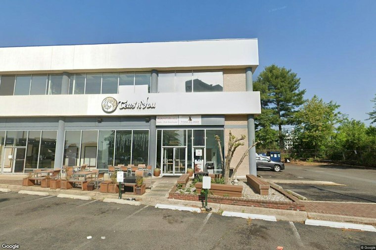 Poker Millionaires' Tea Empire Lands on Rockville Pike With Ube Cake
