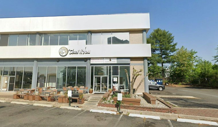 Poker Millionaires' Tea Empire Lands on Rockville Pike With Ube Cake