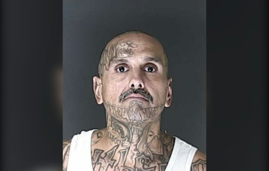 Police K9 Koa Finds Armed Domestic Violence Suspect Hiding in Cimarron Hills Field