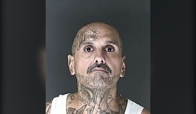 Police K9 Koa Finds Armed Domestic Violence Suspect Hiding in Cimarron Hills Field