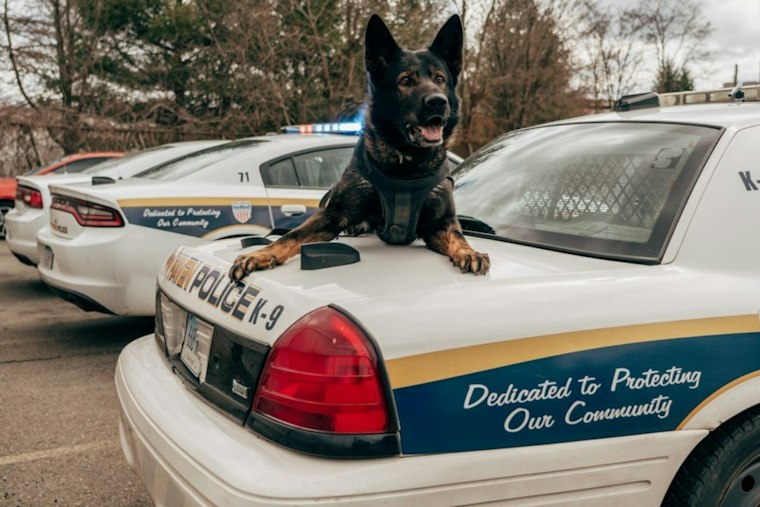 Pompano Beach K-9 Bite Video Sparks Outcry From Mentally Ill Man's Family
