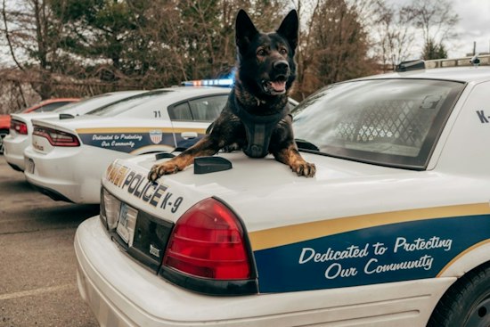 Pompano Beach K-9 Bite Video Sparks Outcry From Mentally Ill Man's Family