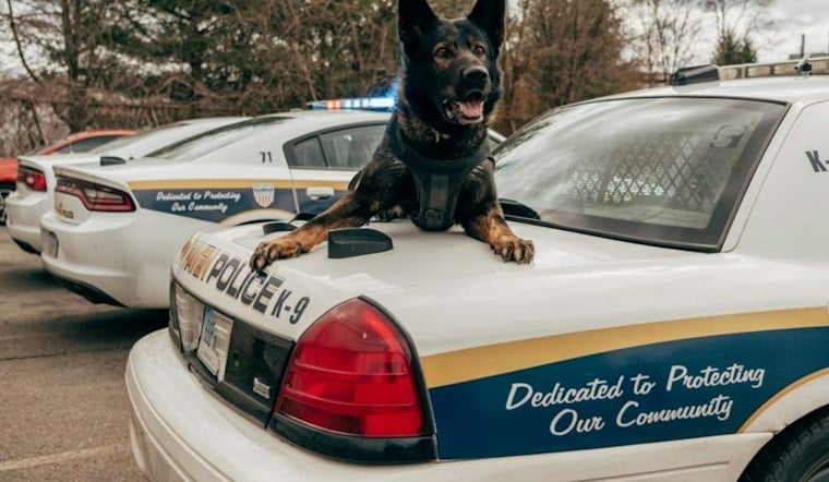 Pompano Beach K-9 Bite Video Sparks Outcry From Mentally Ill Man's Family