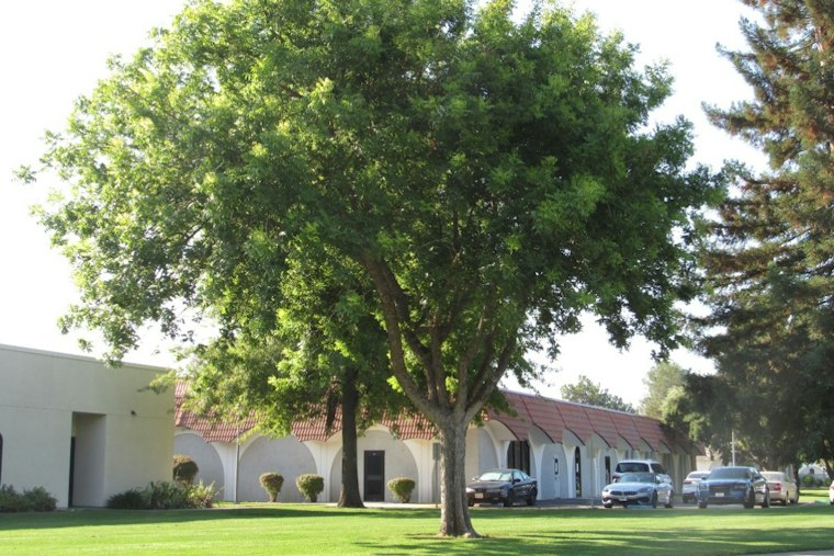 Power Outage Shuts Down Solano Community College's Fairfield Campus Monday