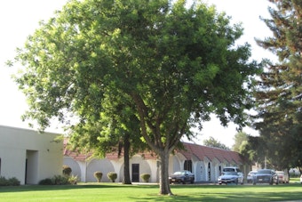 Power Outage Shuts Down Solano Community College's Fairfield Campus Monday