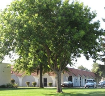Power Outage Shuts Down Solano Community College's Fairfield Campus Monday