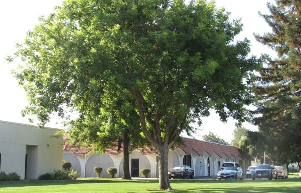 Power Outage Shuts Down Solano Community College's Fairfield Campus Monday