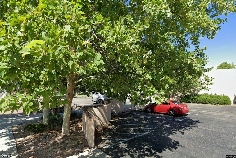 Prescott Camper and Dog Survive Falling Tree, Water Cooler Takes the Hit