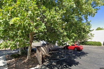 Prescott Camper and Dog Survive Falling Tree, Water Cooler Takes the Hit
