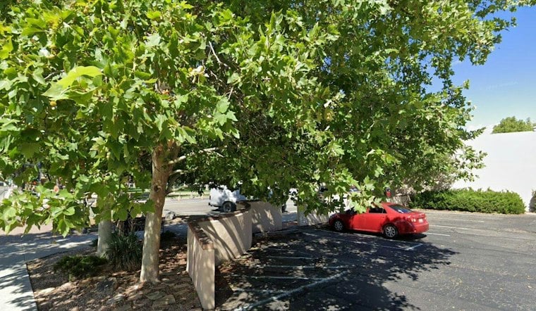Prescott Camper and Dog Survive Falling Tree, Water Cooler Takes the Hit