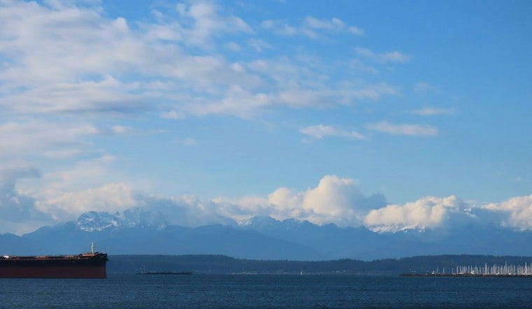 Puget Sound Dock Fouling Reveals Foot-Long Nudibranchs This Docktober
