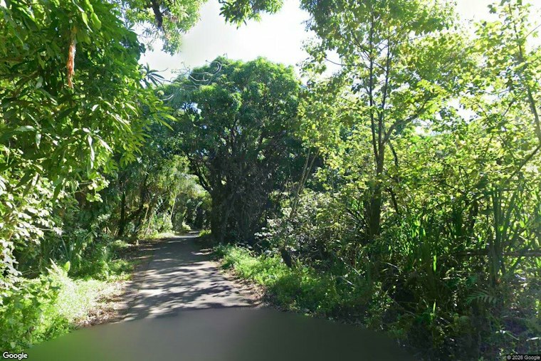 Puna Man, 65, Crashes Stolen Tacoma Into Pole, Then Runs From Police