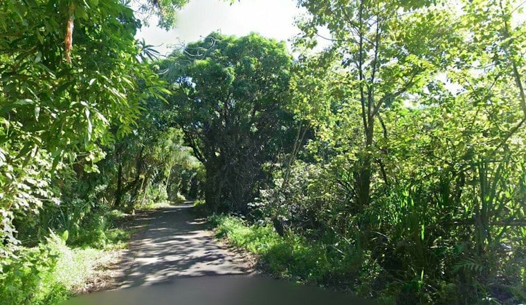 Puna Man, 65, Crashes Stolen Tacoma Into Pole, Then Runs From Police