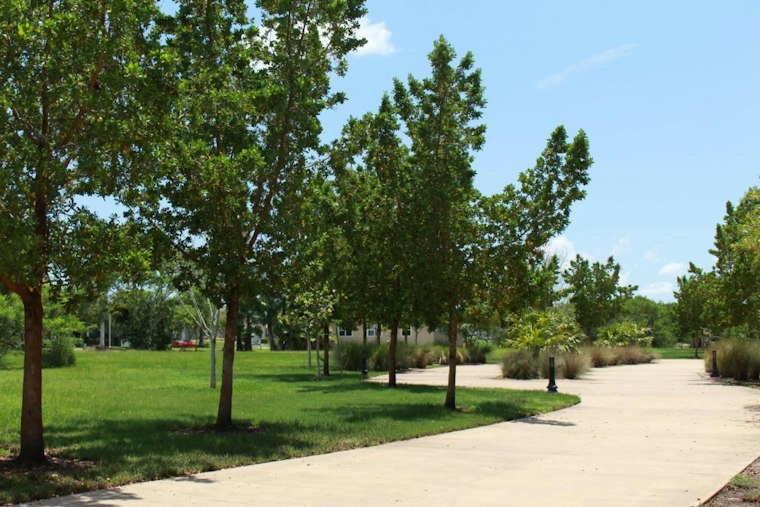 Punta Gorda Eyes Federal Cash to Revive Overlooked 10-Acre Waterfront Park