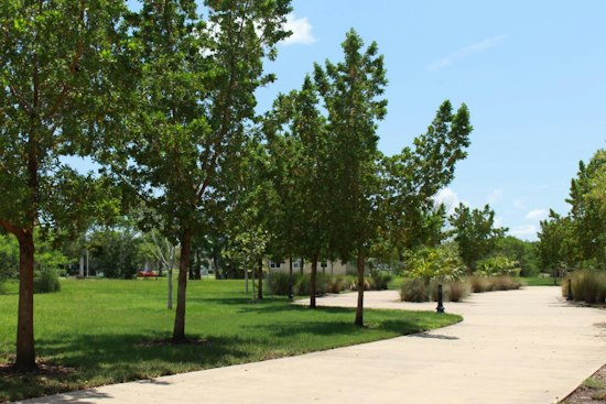 Punta Gorda Eyes Federal Cash to Revive Overlooked 10-Acre Waterfront Park