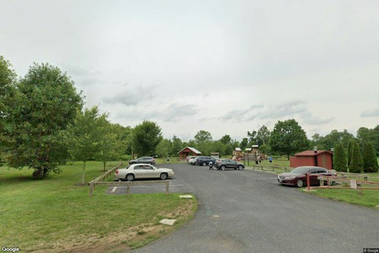 Frederick County Seeks Rabies Exposure Contacts After Kitten Found Near Rocky Ridge Park