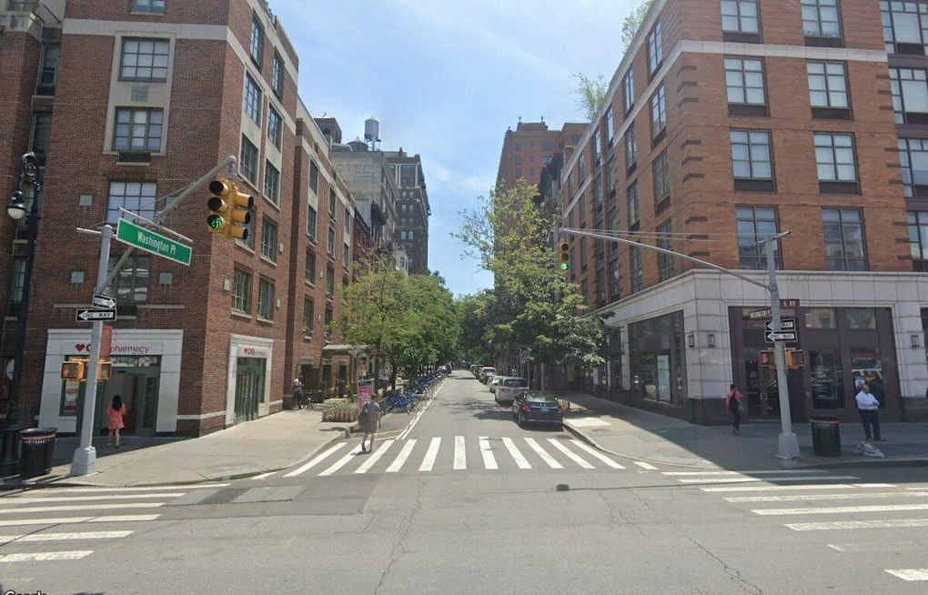 Raccoon Wanders Into Greenwich Village Church Mid-Mass, Pastor Calls It a Sign