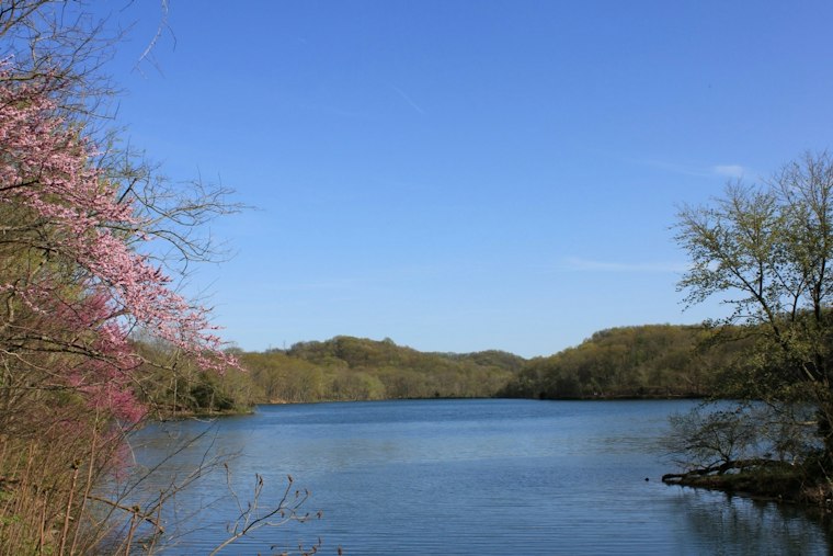 Radnor in the Round Sells Out at Dyer Observatory, Raising Funds for the Lake