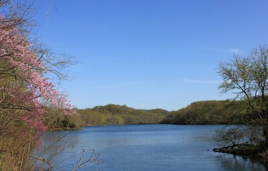 Radnor in the Round Sells Out at Dyer Observatory, Raising Funds for the Lake