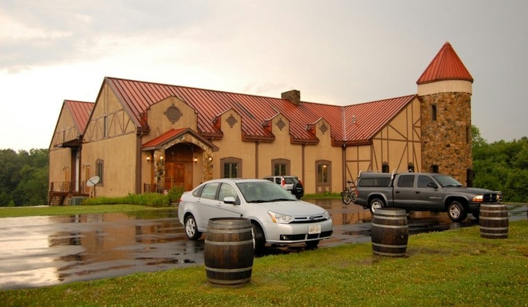 Rain Can't Stop Norfolk Wine Fans as Frost-Battered Vintners Pour On