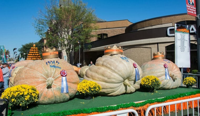 Ramaswamy Rode in Circleville's Pumpkin Show Parade, Democrat Says He Was Shut Out