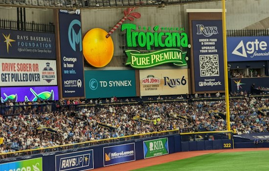 Rays Fans Pack Tropicana Field for Game 5, Now One Win From World Series
