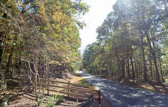 Rehabilitated Juvenile Bald Eagle Returns to the Wild at Union County's Cane Creek Park