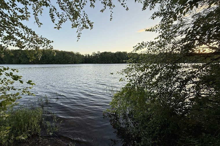 Reston's 1,017-Home Lake Fairfax Plan Clears Planning Commission Hurdle