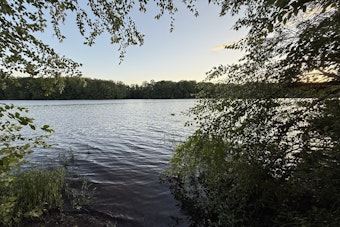 Reston's 1,017-Home Lake Fairfax Plan Clears Planning Commission Hurdle