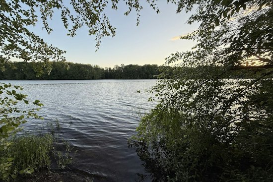 Reston's 1,017-Home Lake Fairfax Plan Clears Planning Commission Hurdle