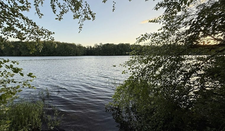 Reston's 1,017-Home Lake Fairfax Plan Clears Planning Commission Hurdle
