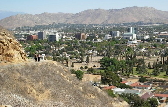 Riverside's Pink on Parade Marks 15 Years With Mt. Rubidoux Climb Oct. 24
