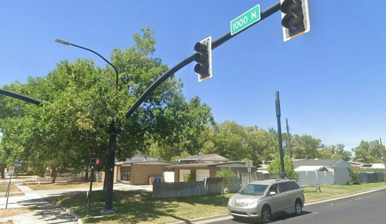 Rose Park Tree Vanishes From Vacant Home, Seller Fears Check Scam