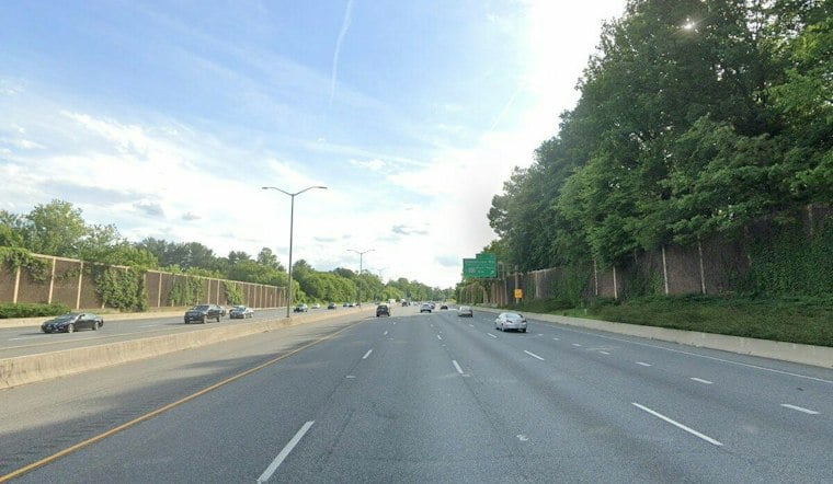 Runaway Cow Storms Through Pikesville Woods, Wanders Onto I-695