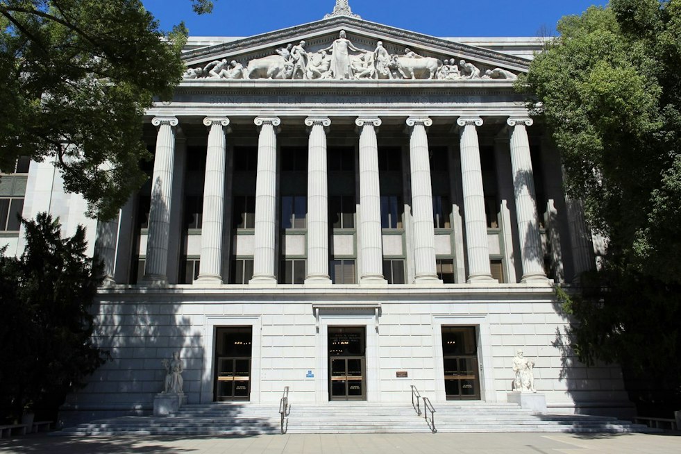 Sacramento State Art Student Faces Expulsion Over Silent Chalk Protest