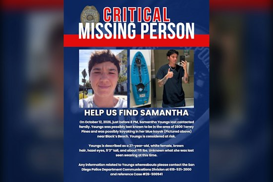 San Diego Police Seek Help Finding Missing 27-Year-Old Near Torrey Pines
