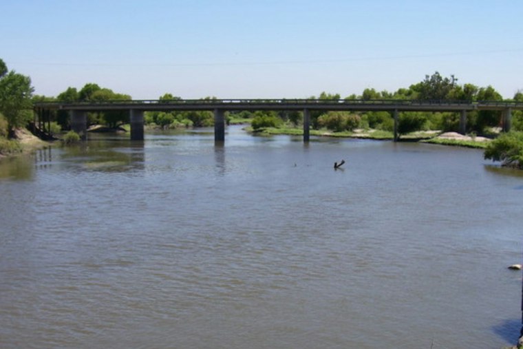 San Joaquin River Sees Record 448 Salmon Return, But Decades of Work Remain