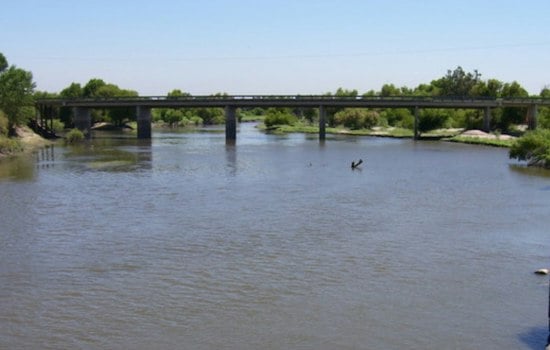 San Joaquin River Sees Record 448 Salmon Return, But Decades of Work Remain