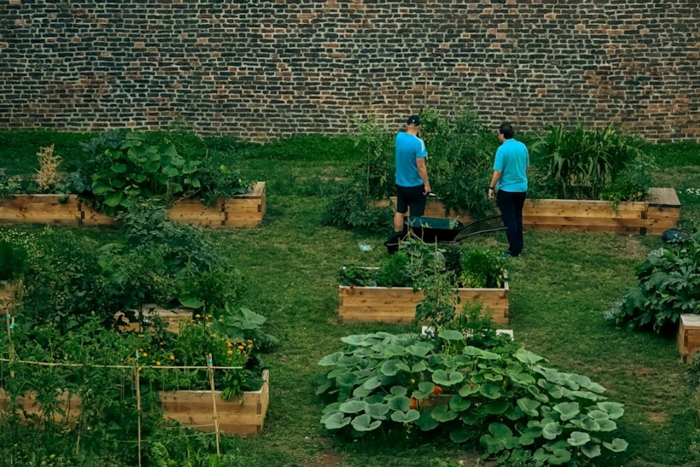 San José Revives Coyote Creek Garden Once Overrun by Pandemic-Era Encampments