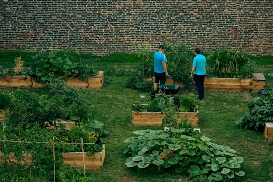 San José Revives Coyote Creek Garden Once Overrun by Pandemic-Era Encampments