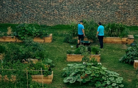 San José Revives Coyote Creek Garden Once Overrun by Pandemic-Era Encampments