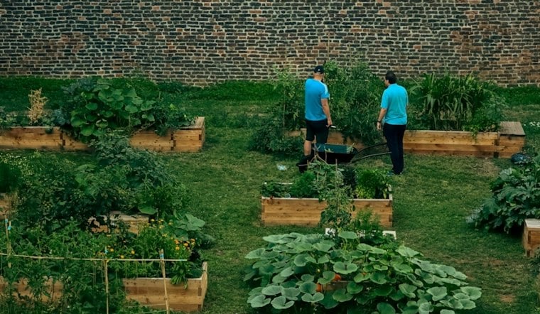 San José Revives Coyote Creek Garden Once Overrun by Pandemic-Era Encampments