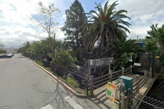San Rafael's WildCare Reopens Nov. 14 With $24M Hospital for About 3,500 Animals a Year