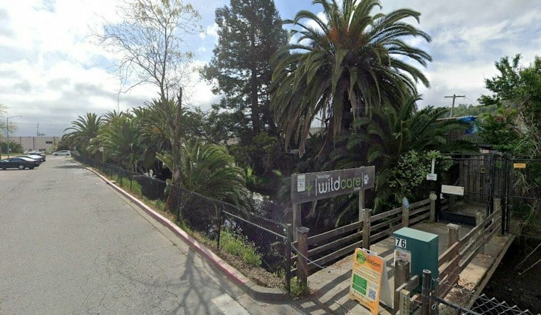 San Rafael's WildCare Reopens Nov. 14 With $24M Hospital for About 3,500 Animals a Year