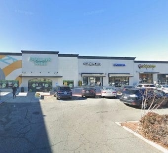 Sandy Springs Dollar Tree Customer Accused of Using Tesla to Run Down Cashier
