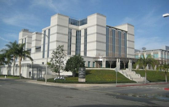 Santa Ana Activists Jailed Over ICE Tailing Case, Councilmember Demands Release