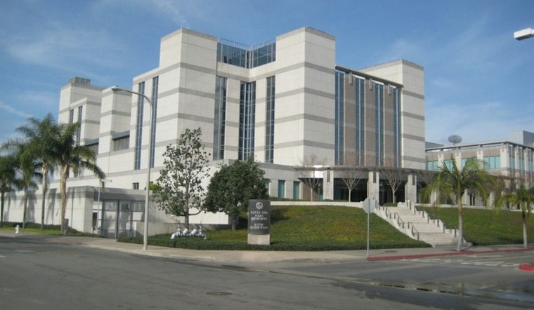Santa Ana Activists Jailed Over ICE Tailing Case, Councilmember Demands Release