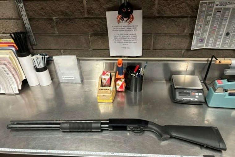 California Firearm Possession Laws