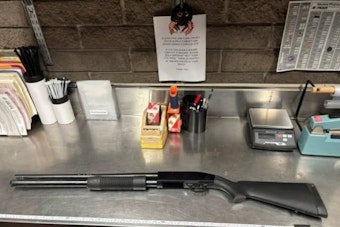 California Firearm Possession Laws