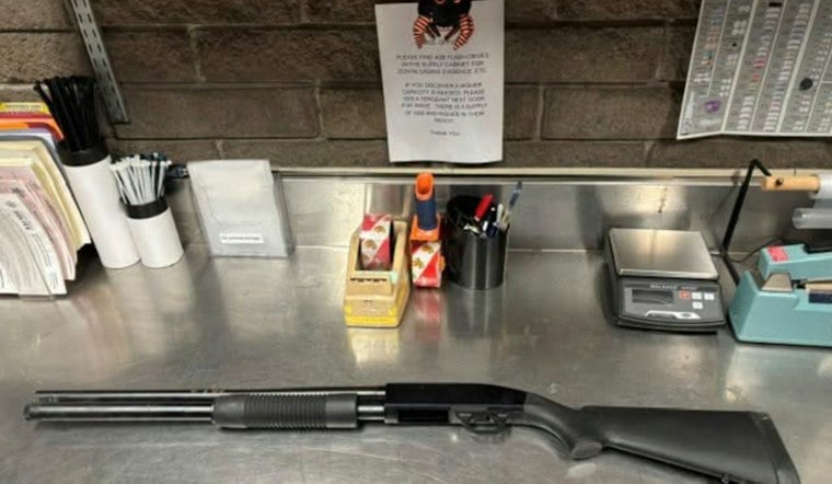 California Firearm Possession Laws